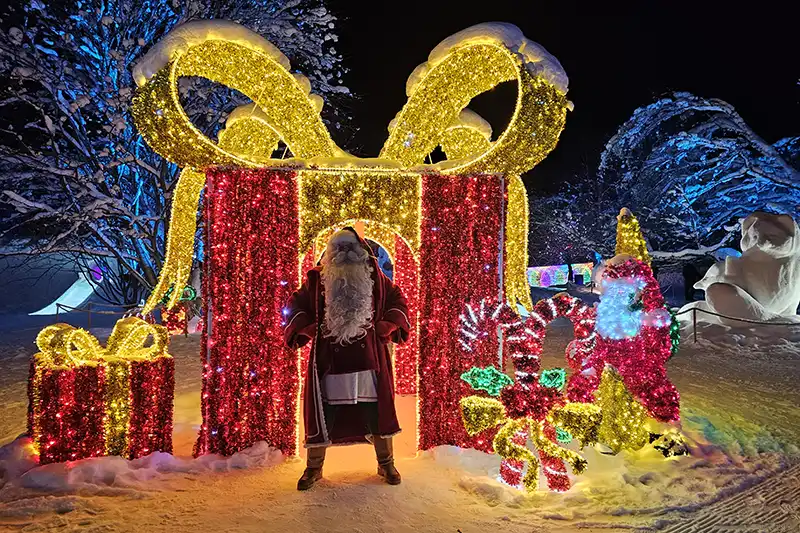 Arctic Fantasy Park