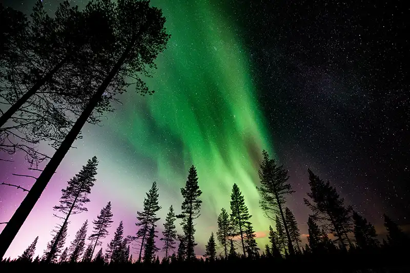 Nordlichttour; was machen in Rovaniemi