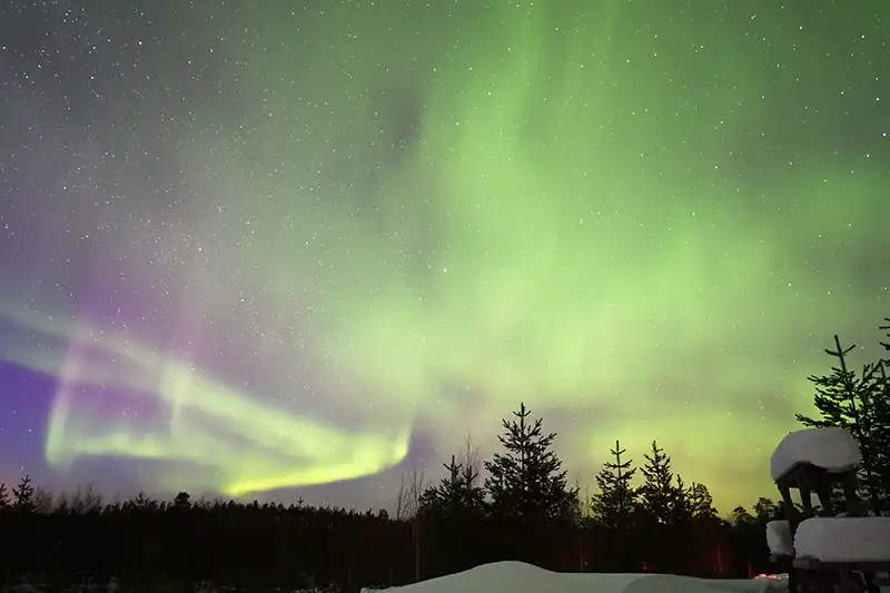 Nordlichttouren in Rovaniemi