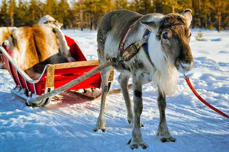 Sámi-Dorf in Lappland