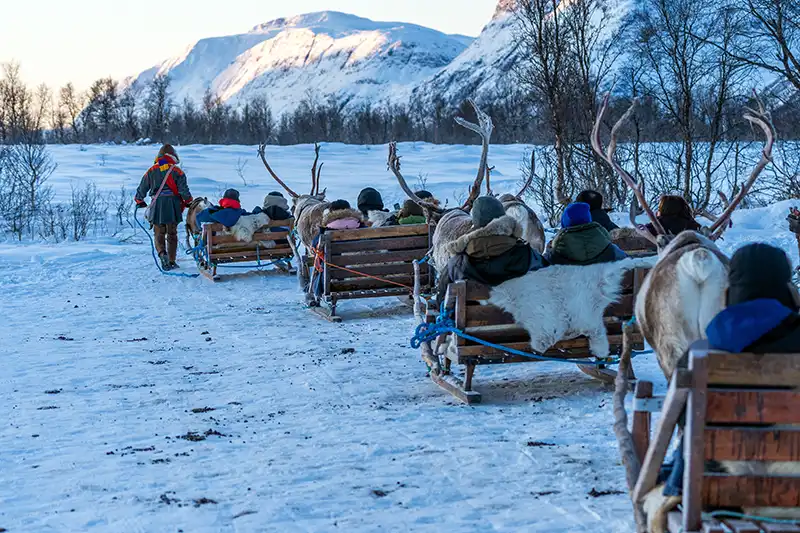 Rentierschlittenfahrt in Rovaniemi