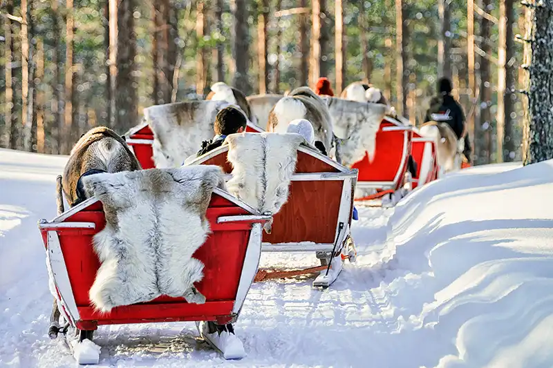 Sámi-Rentierfarm in Rovaniemi