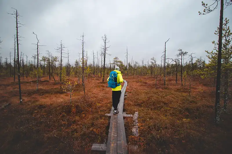 Rovaniemi im Herbst